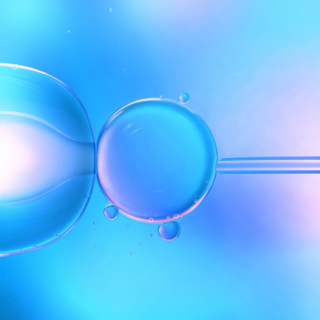 in vitro.jpg